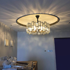 Modern Led Chandelier for home decoration Bedroom Dining Room living room lightning(WH-CY-165)
