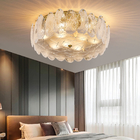 Ceiling chandelier for living room Leaf glass decorative celling lights modern celling lamp(WH-CA-64)