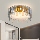 Modern Ceiling Lamps for Living room Bedroom Hallway siling light for living room(WH-CA-65)