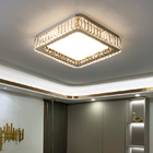 Modern Ceiling Lamps for Living room Bedroom Hallway led lights for dining room(WH-CA-66)