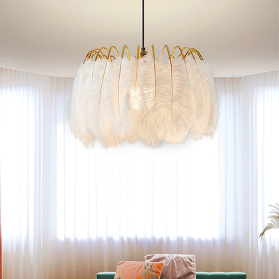 Nordic warm and romantic designer Pendant Light simple Bedroom restaurant Feather Pendant Lamp（WH-AP-439）