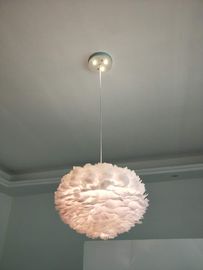 Round Feather Pendant Lamp For Kids Room Children room Indoor home Decor (WH-AP-78)