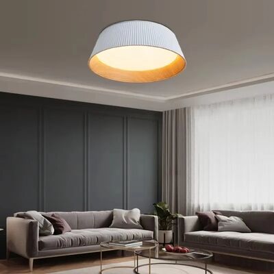 Indoor Lighting Decor Luster Home Kitchen Bedroom Nordic Minimalist Ceiling Lights(WH-MA-326)