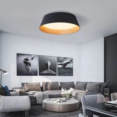 Indoor Lighting Decor Luster Home Kitchen Bedroom Nordic Minimalist Ceiling Lights(WH-MA-326)
