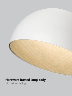 aisle lights living room Entrance lamp Wood Grain Personality Designer Minimalist ceiling lamp(WH-MA-332)