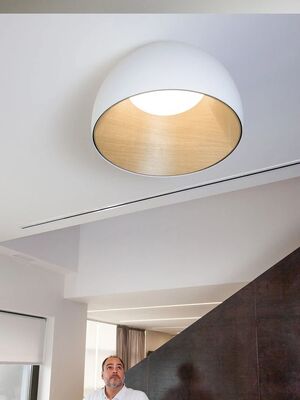 aisle lights living room Entrance lamp Wood Grain Personality Designer Minimalist ceiling lamp(WH-MA-332)