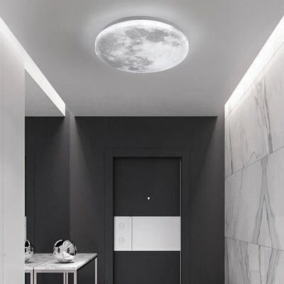 Home Lighting Bedroom Modern Acrylic Light LED Circular Lunar Ceiling Lamp(WH-MA-334)