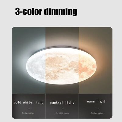 Home Lighting Bedroom Modern Acrylic Light LED Circular Lunar Ceiling Lamp(WH-MA-334)