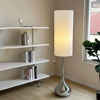 Sofa Corner Standing Lighting Fixture Living Room Mid Century Modern Design Floor Lamp(WH-MFL-211)