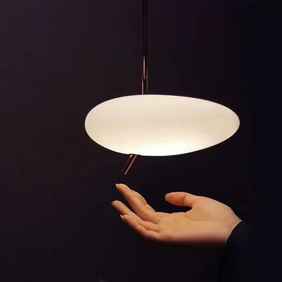 Bedroom Led Lights Living Room Decorations Postmodern Designer Floor Lamps(WH-MFL-220)