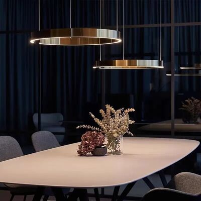 Mito sospeso chandelier Nordic Led Dimmable ring light staircase lamp (WH-NC-134)